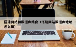 新疆搭建网站和数据库结合（搭建网站数据库地址怎么填）