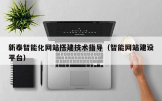新疆新泰智能化网站搭建技术指导（智能网站建设平台）